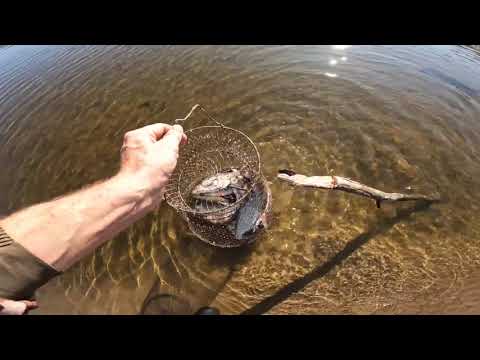 Видео: РЫБАЛКА НА ДОНКИ