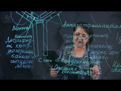 Видео: Антиденелердің құрылысы мен құрылымы. 1 бөлім. 11 сынып.
