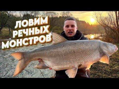Видео: Эту ЯМУ охраняет Он! Жерех МОНСТР на ультралайт! Бленсы и Стики ранней весной