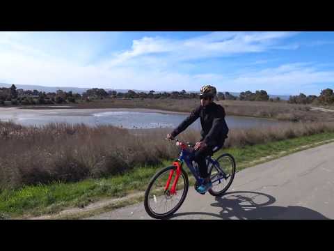 Видео: У Лукоморья - под окном у Гугла творится такое....