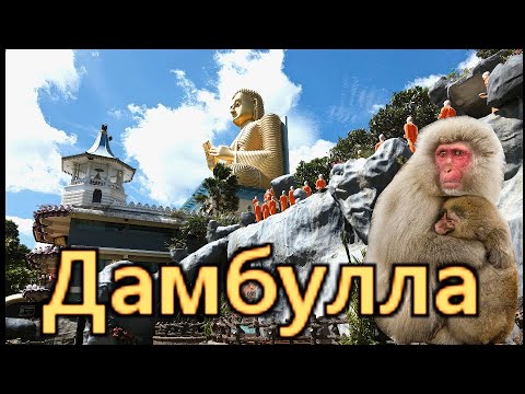 Видео: Шри -Ланка....Дамбулла..Краткий обзор храмового комплекса ..