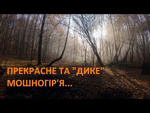 Видео: У пошуках забутих джерел Мошногір'я. "Найдикіша" місцевість району...