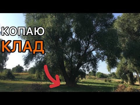Видео: Как я ходил КЛАД КОПАТЬ | На лугу с металлоискателем Пират