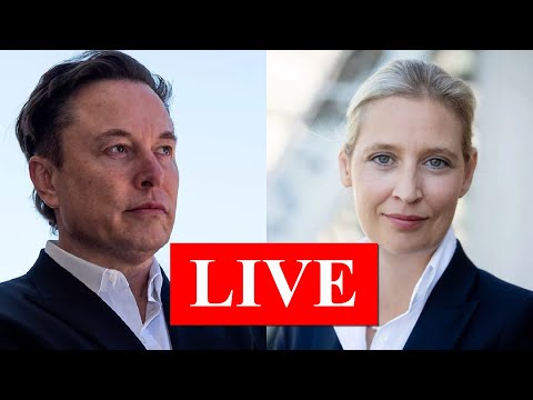 Видео: О чем говорили Маск и Вайдель?