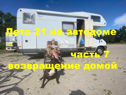 Видео: КОнец путешествия. часть7.