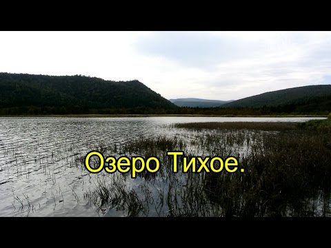 Видео: 2016. Тихое озеро. На велосипеде. Советско-Гаванский район.