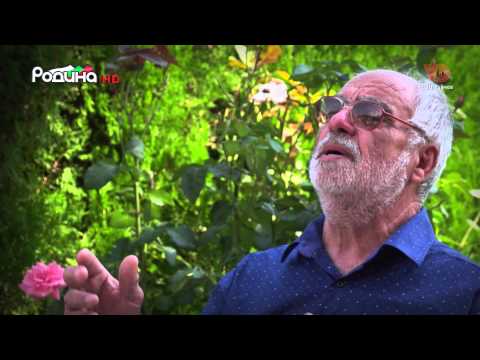Видео: LYUBEN STOYANOV - YAKOTO - RODI SE BILYANA / ЛЮБЕН СТОЯНОВ - ЯКОТО - РОДИ СЕ БИЛЯНА