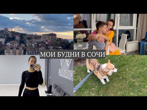 Видео: МОИ БУДНИ В СОЧИ: танцы, собака, готовим с мужем, последствия шторма, мои мысли о счастье