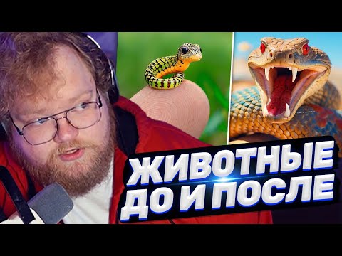 Видео: ТОХА T2x2 СМОТРИТ: ДО И ПОСЛЕ ВЗРОСЛЕНИЯ. НЕВЕРОЯТНЫЕ ТРАНСФОРМАЦИИ ЖИВОТНЫХ