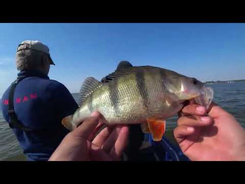 Видео: ЭТА ПРИМАНКА ПРОСТО КОСИТ ОКУНЯ, ДАЖЕ ЛЕЩИ НЕ УДЕРЖАЛИСЬ!!!