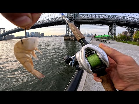 Видео: Рыбалка на Манхэттене, Нью-Йорк. Ист-Ривер-парк.