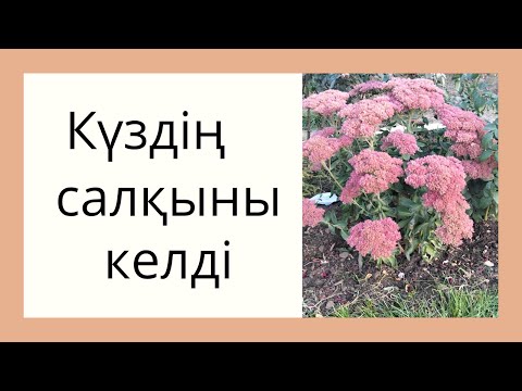 Видео: Күздің ызғары .