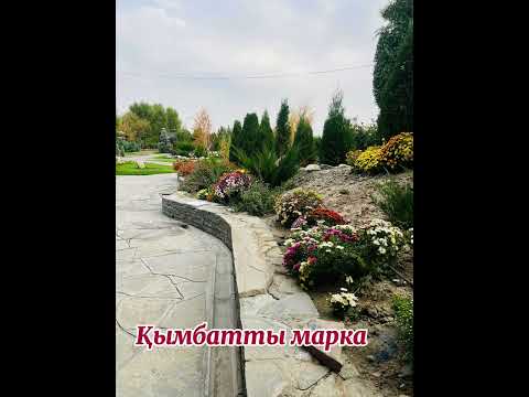 Видео: “Қымбатты марка”-Лакизи Мурай(Ұлыбритания)