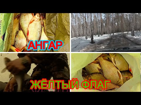 Видео: АНГАР+ЖЁЛТЫЙ ФЛАГ= ЧЕБАК  ЛЕЩ . ОТЧЕТ 3.04.24