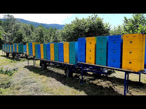 Видео: Прицеп с поворотной осью, ВЫКОТНЫМИ РЯДАМИ. Заключительная часть.