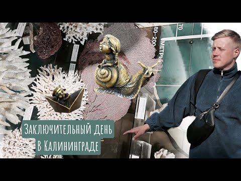 Видео: ВЫЯСНИЛИ ПОЧЕМУ ВСЕ ЕДУТ В КАЛИНИНГРАД | ФОРТ 11 | ИЩЕМ ПОСЛЕДНИХ ХОМЛИНОВ | МУЗЕЙ МИРОВОГО ОКЕАНА🛳️