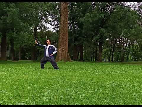 Видео: Тайцзицюань. Taichi