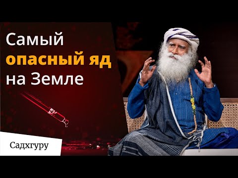 Видео: Самовыражение — пустая трата жизни