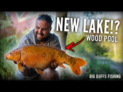 Видео: ОН ПОПАЛ ТОГО, КОГО ЖЕЛАЛ | Борьба с лесным бассейном | Большие Даффы