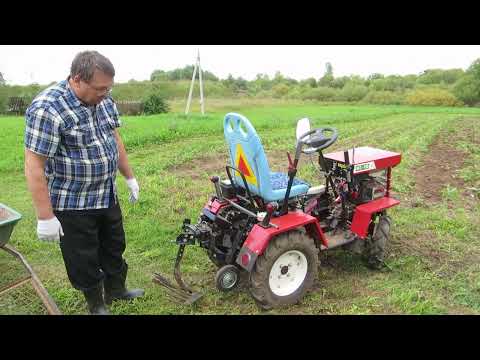 Видео: Копка картофеля лапой