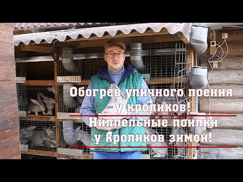 Видео: Обогрев уличного поения у кроликов! Ниппельные поилки у кроликов зимой!