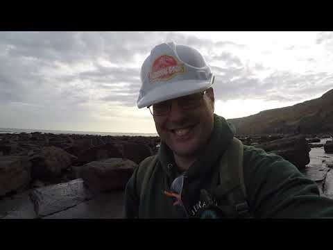 Видео: Охота за окаменелостями от залива Рансвик до Голдсбро #ископаемые #аммониты