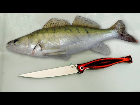 Видео: Reptilian Лаврак  - НОЖ - МЕЧТА РЫБАКА!