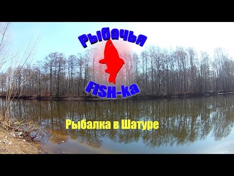 Видео: Рыбалка в Шатуре.