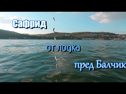 Видео: Сафрид пред Балчик!