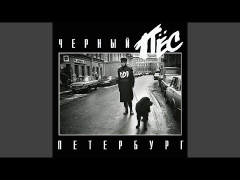 Видео: Чёрный пёс Петербург Live