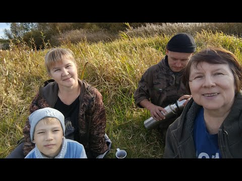 Видео: Гуляем в лесу 29.09.2024