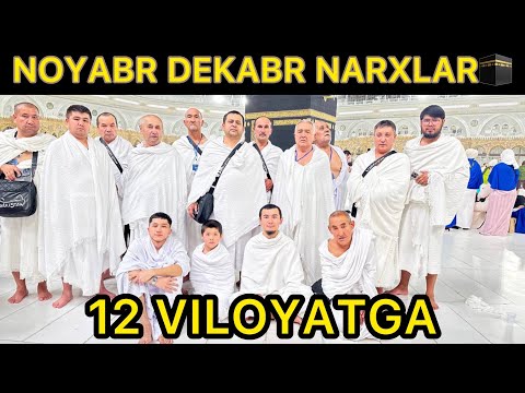 Видео: НОЯБР ОЙИ 14 КУНЛИ УМРА НАРХЛАРИ 2025УМРА ЗИЁРАТИ НАРХИ 2025 УМРА САФАРИ 2025 UMRA AMALI UMRA NARXL