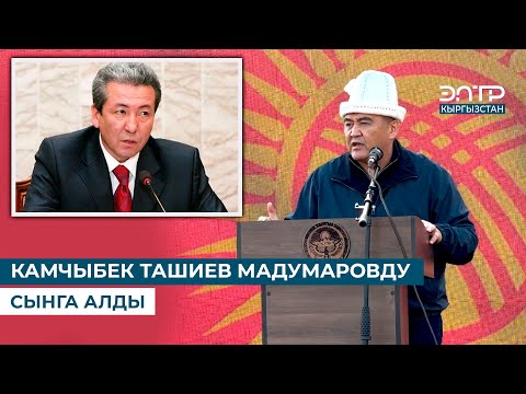 Видео: КАМЧЫБЕК ТАШИЕВ МАДУМАРОВДУ СЫНГА АЛДЫ