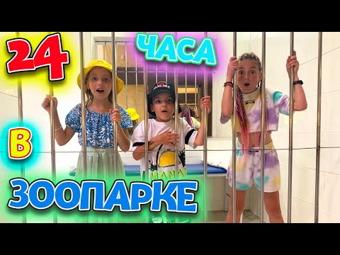 Видео: 24 часа в ЗООПАРКЕ челлендж с Vania & Masha POP IT Challenge от My little Nastya