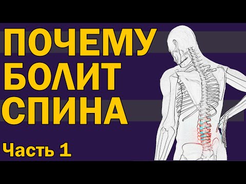 Видео: Почему болит спина? Часть 1 [S04E06]