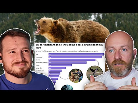 Видео: Сможете ли вы победить этих животных в бою?!