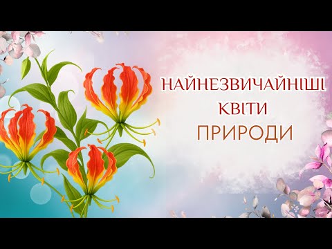 Видео: НАЙКРАСИВІШІ серед НЕЗВИЧАЙНИХ квітів світу! Частина 2