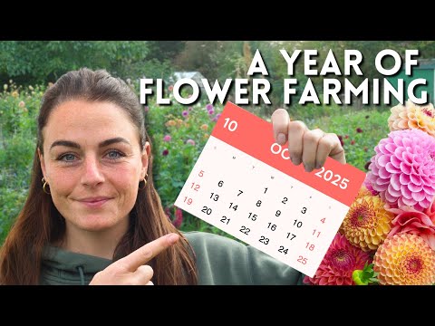 Видео: Полное помесячное руководство по выращиванию цветов