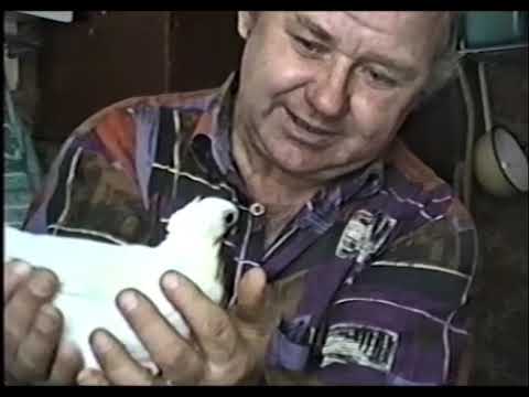 Видео: Рыбное: в гостях у Юрия Старостина.