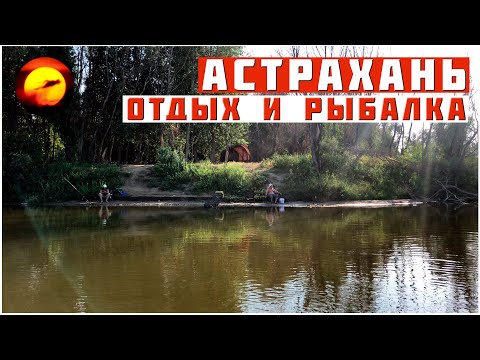 Видео: Стоп! Это не Сазан / На Рыбалке как в Раю!