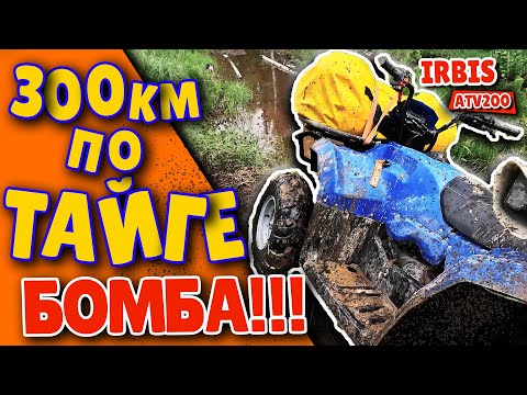 Видео: 300 км по тайге на квадроциклах ИРБИС АТВ 200