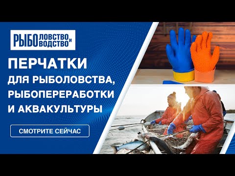 Видео: Выбор перчаток для рыбной промышленности. Предложение надежных СИЗ от компании Петроканат.