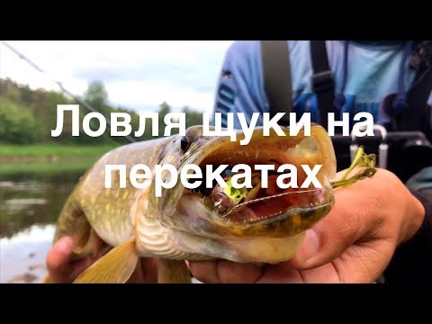 Видео: Ловля Щуки На Перекатах