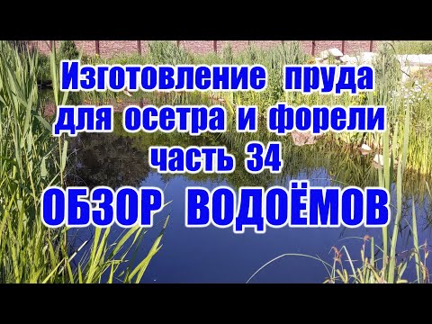 Видео: Изготовление пруда для осетра и форели Обзор Водоёмов(часть 34)