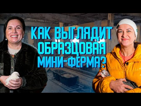 Видео: Как создать образцовую мини-ферму?