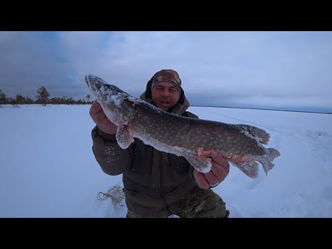 Видео: ЛЁД ПОД МЕТР, А ПОЙМАЛ ЩУКУ РУКАМИ! ПЕРЕНОЧЕВАЛИ В ТАЁЖНОЙ ИЗБЕ \И ВСЁ ЖЕ НАШЛИ РЫБЕЙКУ, СБОРЫ ДОМОЙ