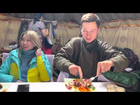 Видео: Верблюжьи прогулки Калмыкия