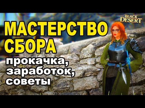 Видео: МАСТЕРСТВО СБОРА: Заработок 60 - 80кк в Black Desert (Гайд)