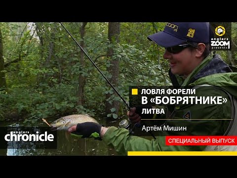 Видео: Ловля форели в «бобрятнике». Литва. Артём Мишин. Anglers Chronicle