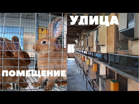 Видео: Виды и способы содержания кроликов, плюсы и минусы